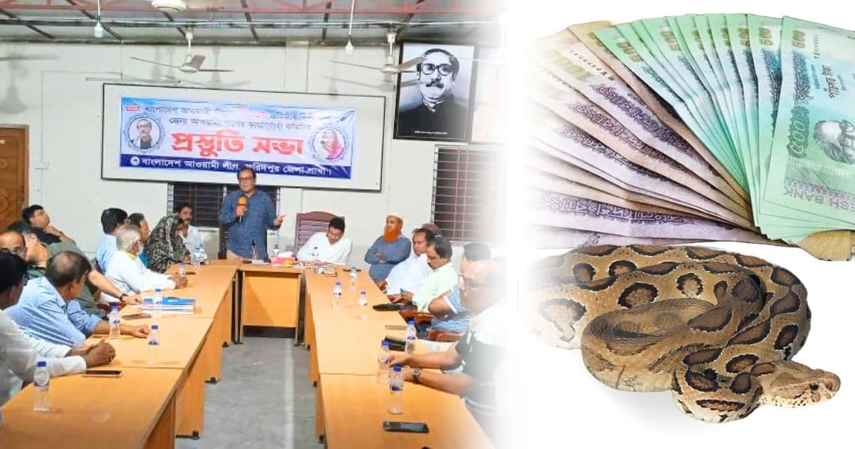 রাসেলস ভাইপার মারলেই ৫০ হাজার টাকা পুরস্কার!