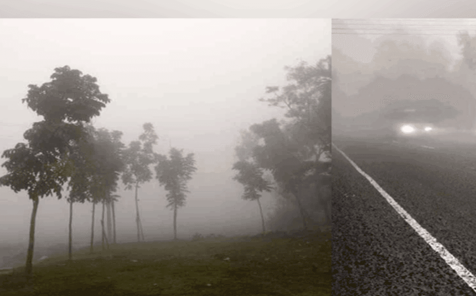 বেশি বৃষ্টি, কুয়াশা আর ঠাণ্ডা-নভেম্বরেই শীতের আমেজ শুরু