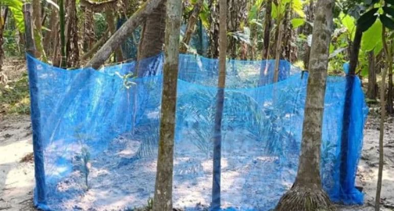 কারাবন্দী ছাত্রলীগ নেতার স্ত্রী ও ৯ মাসের সন্তানকে পাশাপাশি দাফন