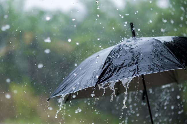 সারাদেশে দমকা হাওয়াসহ বৃষ্টির আভাস