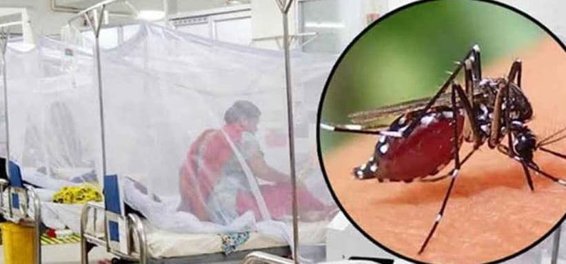 ডেঙ্গুতে একদিনে আরও ৫ জনের মৃত্যু, হাসপাতালে ভর্তি ১২৪