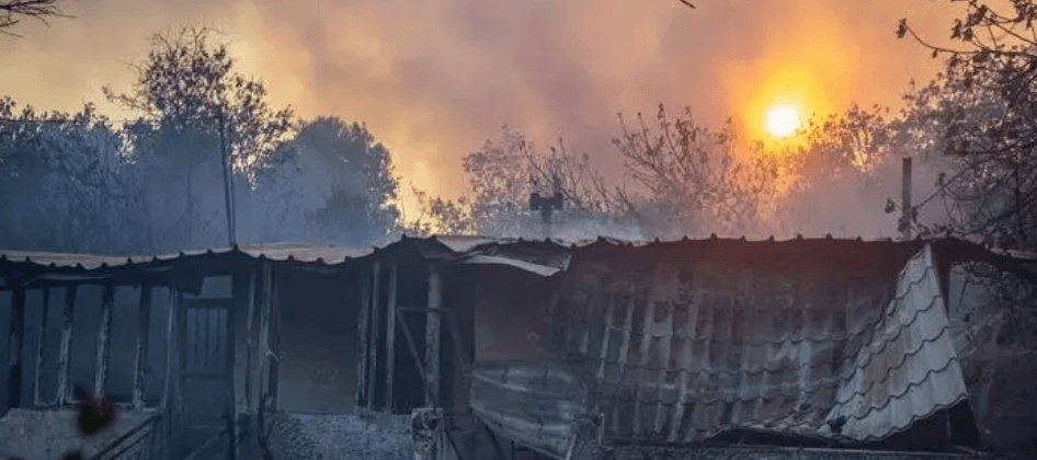 গ্রিসে দাবানল ছড়ানোর অভিযোগে ইসরায়েলি নাগরিক আটক