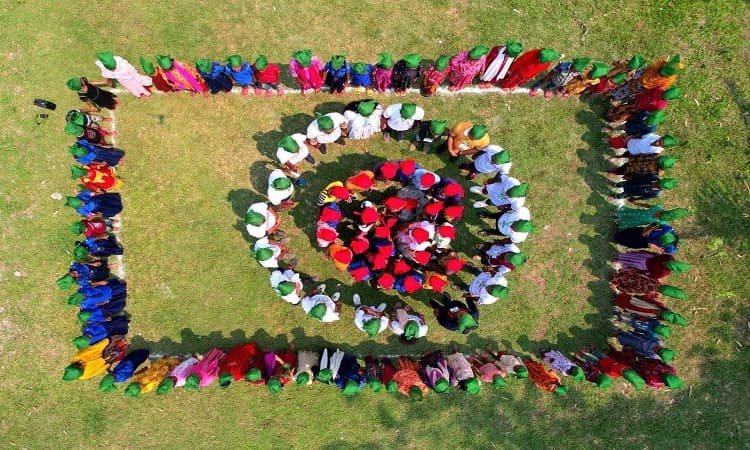 জলবায়ু পরিবর্তন মোকাবেলায় গ্লোবাল ল’র 'সবুজ মানব প্রাচীর'