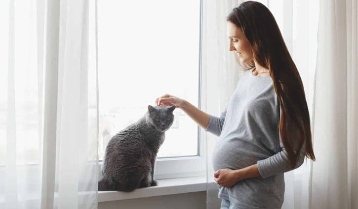 গর্ভবতী নারীদের জন্য যে কারণে বিড়াল বিপদজনক