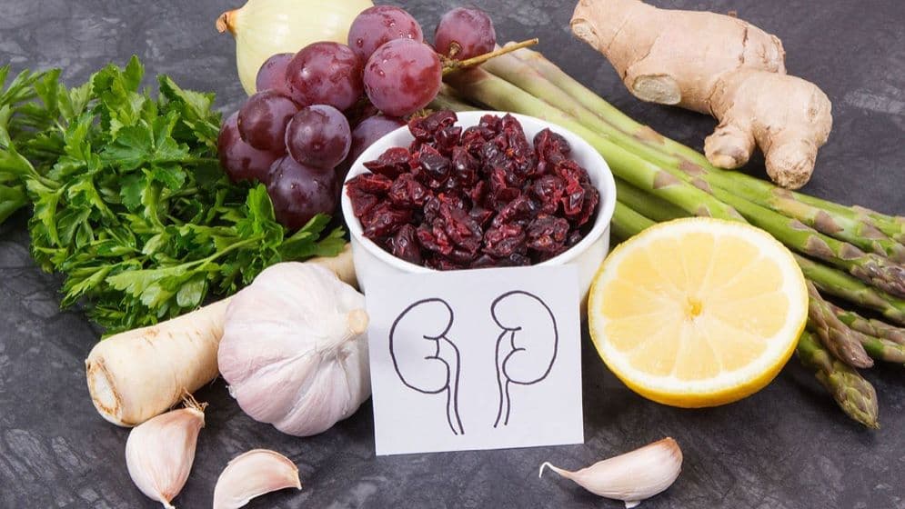 ৫ খাবারে কিডনি থাকবে সুস্থ