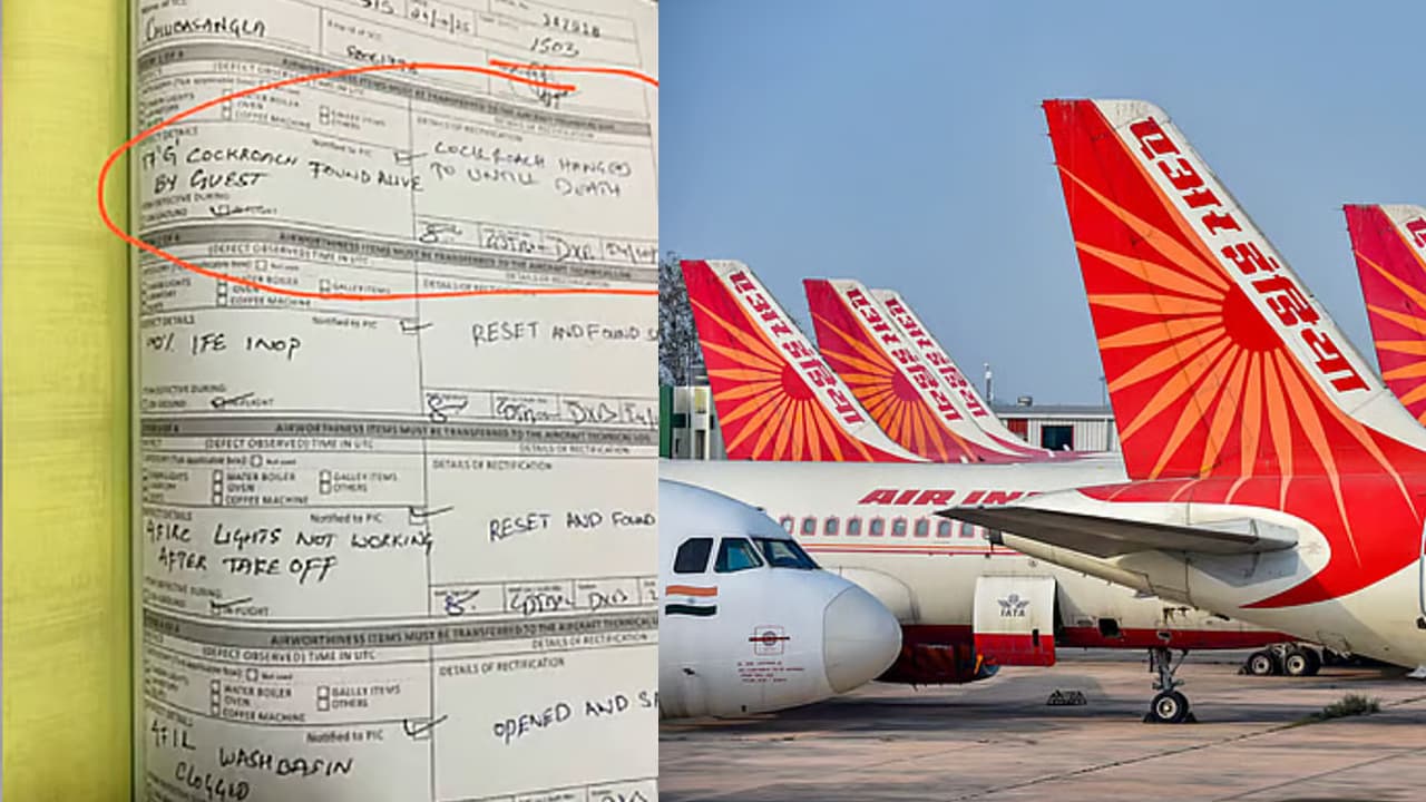 মাঝ আকাশে 'তেলাপোকাকে ঝুলিয়ে মৃত্যুদণ্ড'