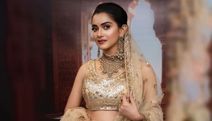 তানজিন তিশার বিরুদ্ধে প্রতারণার অভিযোগ!