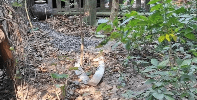 বিজয় দিবসে মুক্তিযোদ্ধার কবরে আগুন, তদন্তের নির্দেশ