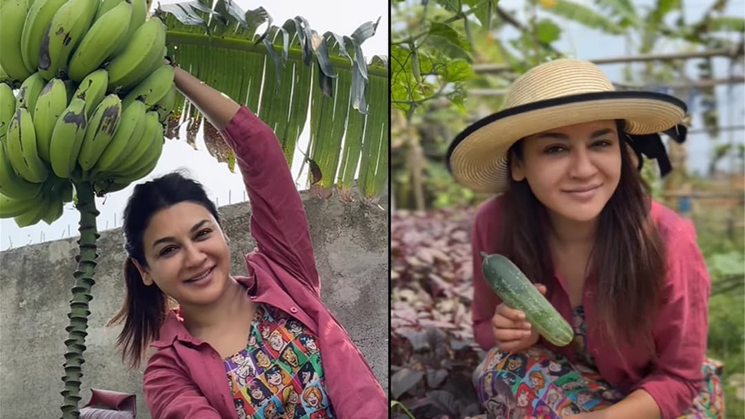 সবজি চাষে উচ্ছ্বাস প্রকাশ জয়ার