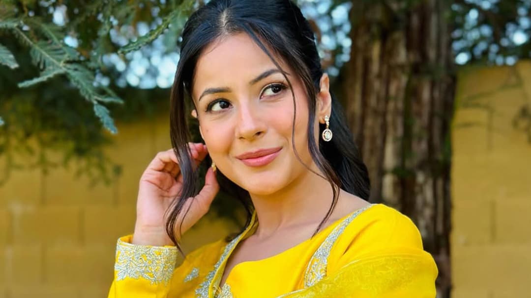 পরকীয়া নিয়ে মন্তব্য করে তোপের মুখে শেহনাজ গিল