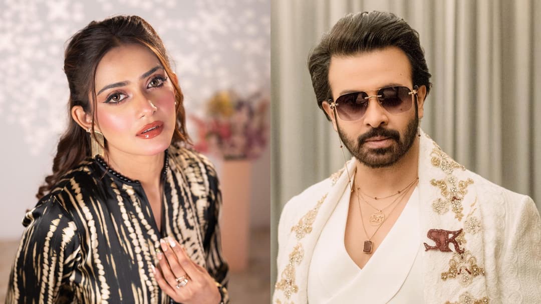 ‘শাকিব ভাইয়া অনেক প্রফেশনাল একজন আর্টিস্ট’