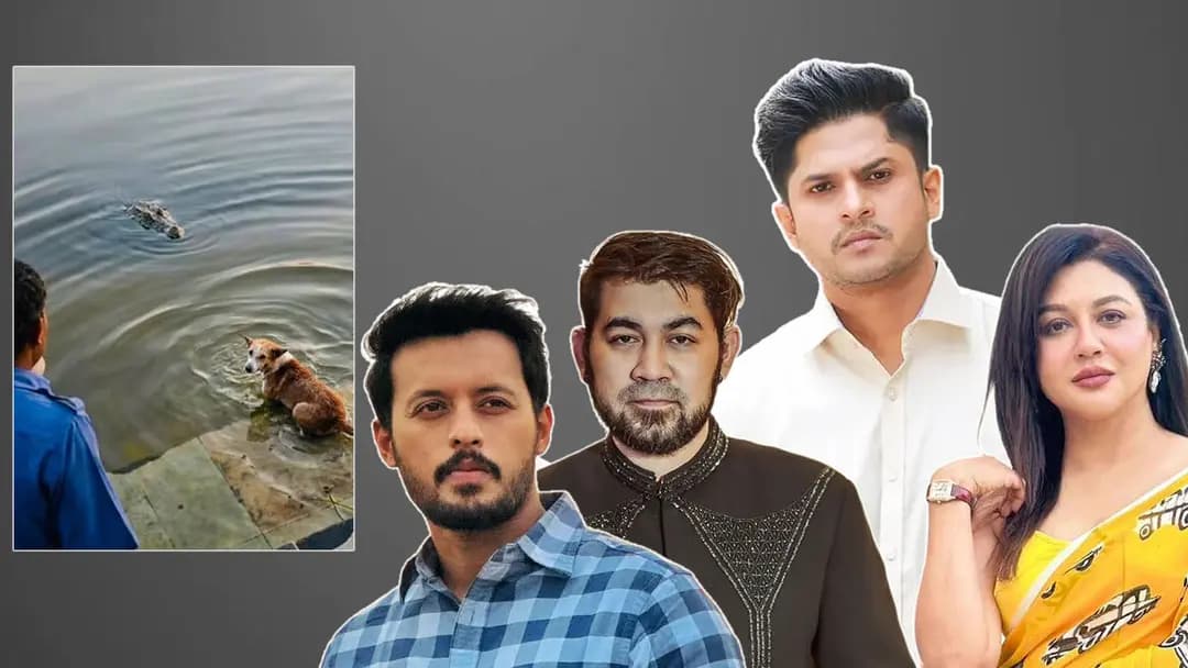 কুমিরের মুখে কুকুরের সেই ঘটনা নিয়ে তারকাদের ক্ষোভ