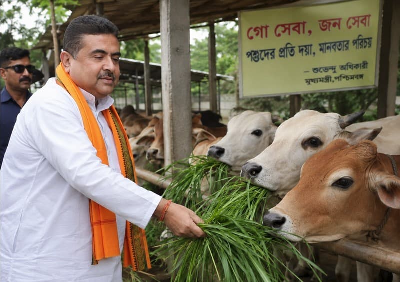 পশ্চিমবঙ্গে অনুমতি ছাড়া গরু-মহিষ জবাই নিষিদ্ধ