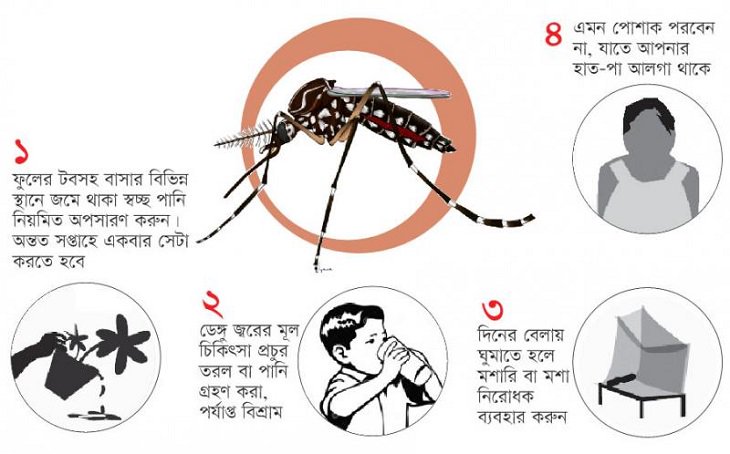 ডেঙ্গু হলে করণীয় কি?